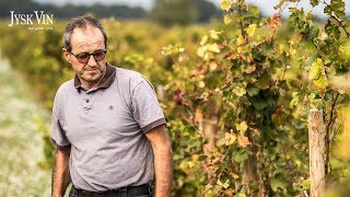 Domaine la Bouïssiere - Vacqueyras