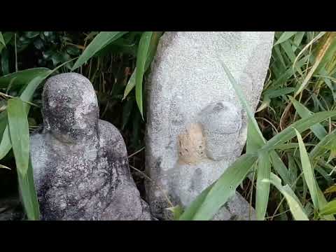 【四十三番〜八十八番】1時間で結願「宇津山公園八十八ヶ所」後編　(静岡県湖西市入出2024年9月24日)　伊予〜讃岐