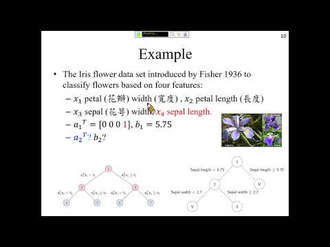 許志華，最佳化和機器學習 9-2 Optimal Classification Trees with Parallel Splits