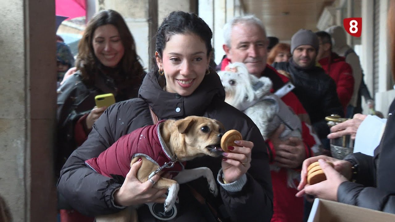 Las mascotas reciben la bendición por San Antón