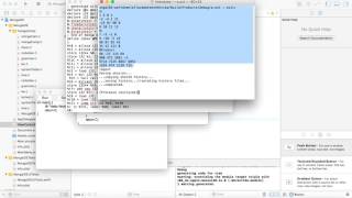 First Preview From Mongaide Alpha