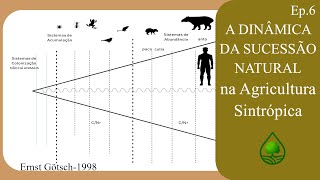 Episódio 6 - A Dinâmica da Sucessão Natural na Agricultura Sintrópica (Técnicas 2 e 3)