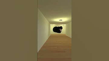Maxwell Cat Nextbot Gmod