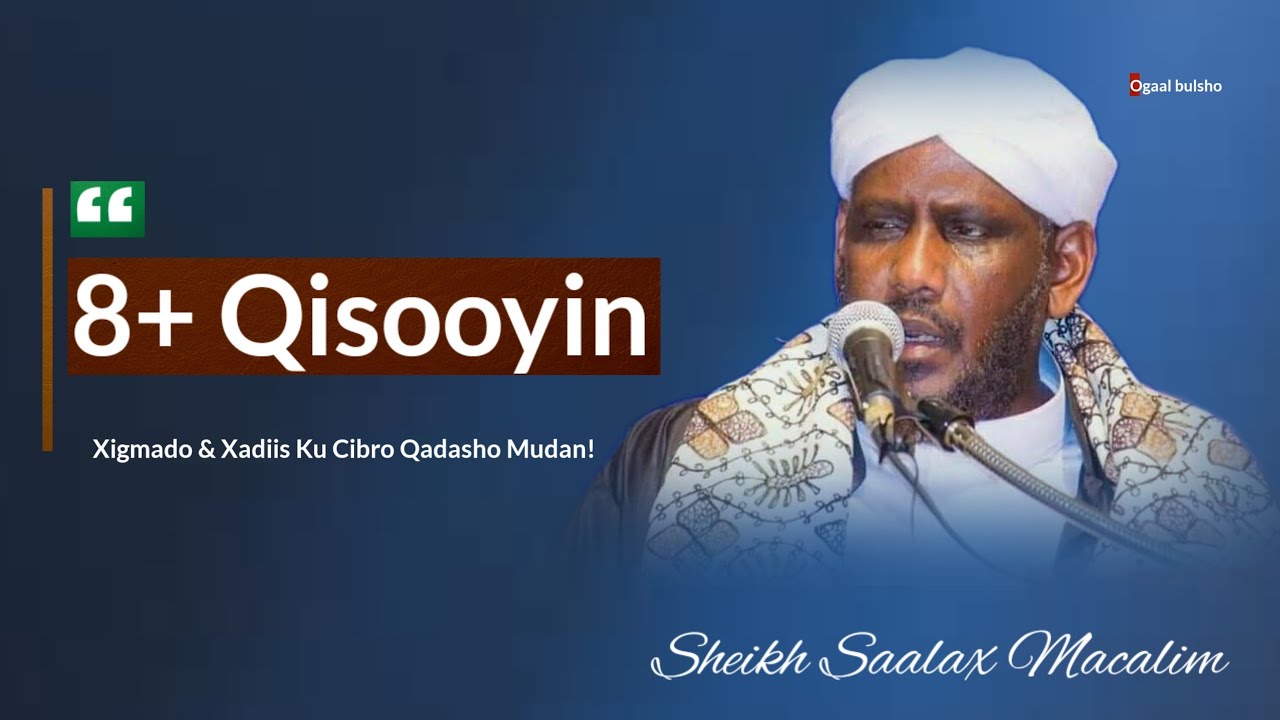 8+ Qisooyin Xigmad Iyo Ku Cimro Qaadasho Mudan 100% Noloshaada Badali doonta || Sh. Saalax Macalin