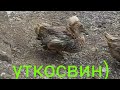 Чем РАЗВЛЕЧЬ себя в ВОСКРЕСЕНЬЕ???)))