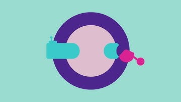 IsoBag™ Optimize Your Environmental  Monitoring Workflow