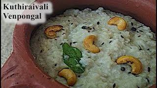 Venpongal for diabetics Tamil | குதிரைவாலி வெண்பொங்கல் | Barnyard millet pongal | How to make pongal