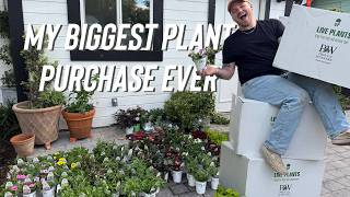 HUGE Proven Winners Plant Order + Cost