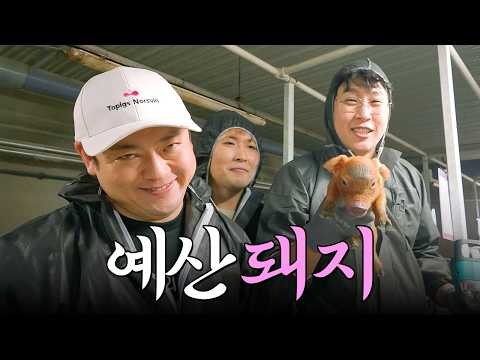 선민 영우 극한 직장 급습한 세컨드 펭귄 이용주 🐷 땀샘 폭발 예산 돼지 농가 [이선민 & 유영우 & 이용주] | 수확행2 EP1