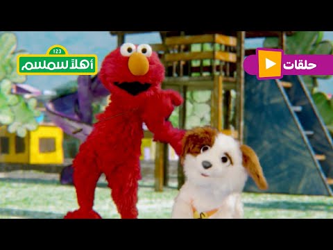 أهلا سمسم الموسم الحادي عشر الحلقة 19 أهلا سمسم في عالم الشخبطة