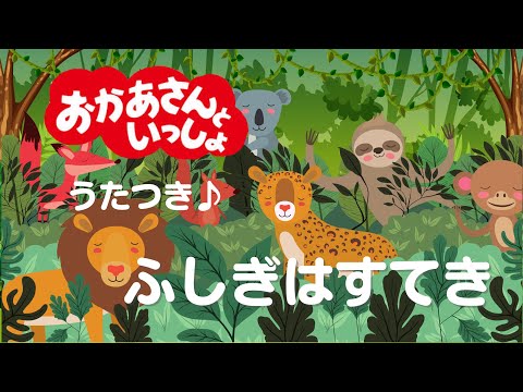 【前回13万回再生記念🎉】🐨ふしぎはすてき🦁/ うたつき/ 3年前より上手くなったはず。　#おかあさんといっしょ