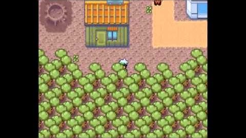 Pokemon Emerald Nuzlocke Randomizer Part 11