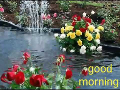 gd mrg youtube
