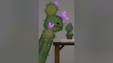 Melon Playground || Cactus Sniffing A Cactus