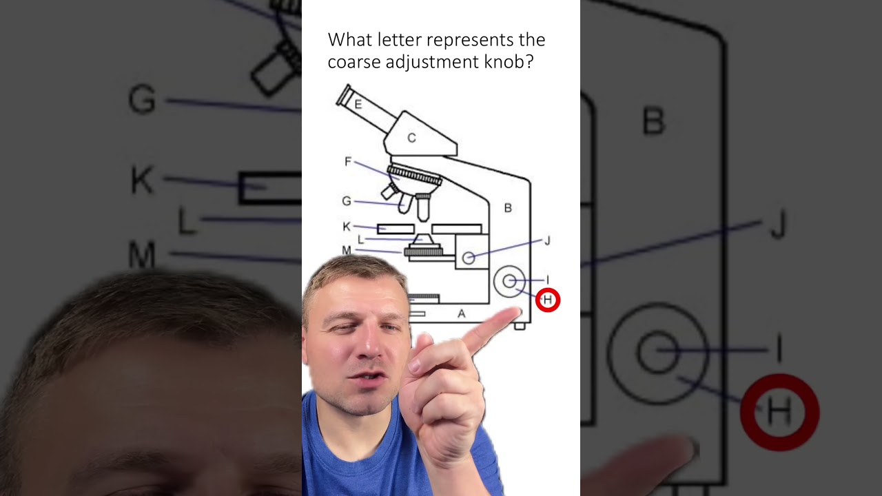 Викторина: Детали микроскопов