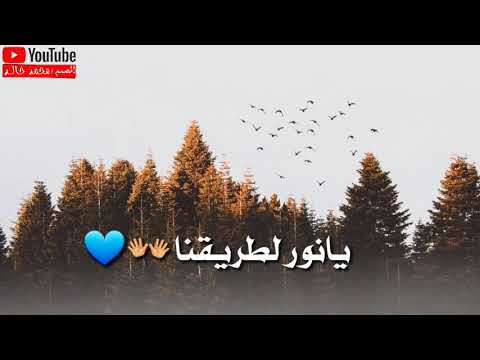 يا عالم با امرنا يا مفرج لهمنا سعد المجرد حالات وتس اب 