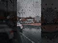 محمد ريحة مطر امطري قلبي امطري العود الطري جديدي تصويري 