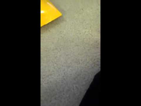 New Nike USA elite 2.0 crew