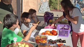 Bemidji Boys & Girls Club Members Host Last Farmers Market Of Season