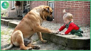 Real Life Superheroes | Random Acts of Kindness That Will Make You Cry #16