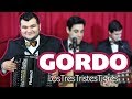 Gordo - Los Tres Tristes Tigres