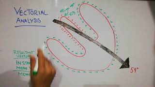 CVS physiology 26. cardiac vector, vectorial analysis, instantaneous mean vector, mean QRS vector