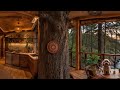 🌲 Cozy Treehouse in Pine Forest | Relaxing 360° VR Cabin Ambience by the Stream