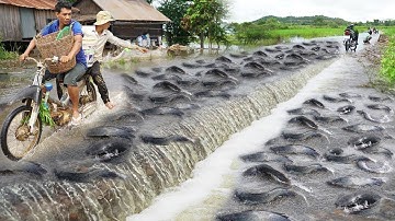 Unbelievable Cast Net Fishing - Fisherman vs River Catch Netting 2024