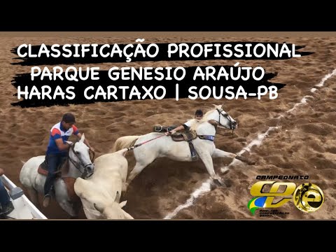 CLASSIFICAÇÃO PROFISSIONAL | PARQUE GENÉSIO ARAÚJO | HARAS CARTAXO | SOUSA-PB | ETAPA DO CPV 2022