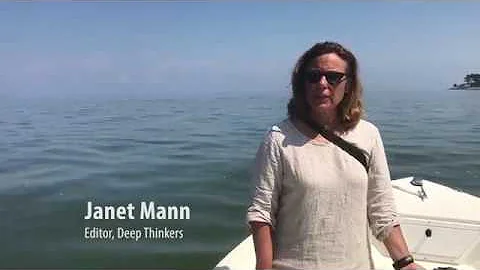 Janet Mann on How We Can Protect Dolphins and Whales