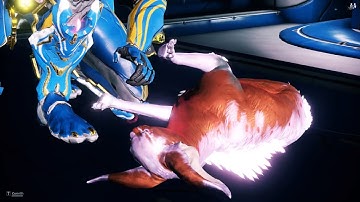 Warframe: Kavat Kitten and Adult Interaction Animations