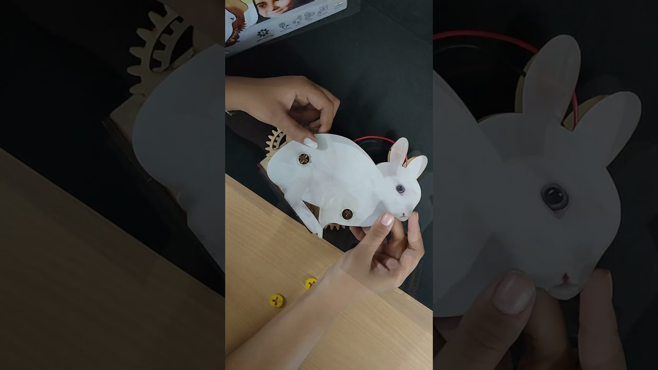 MakenBreak STEM/STEAM Toy  Hoppity Rabbit | An Animal Robot