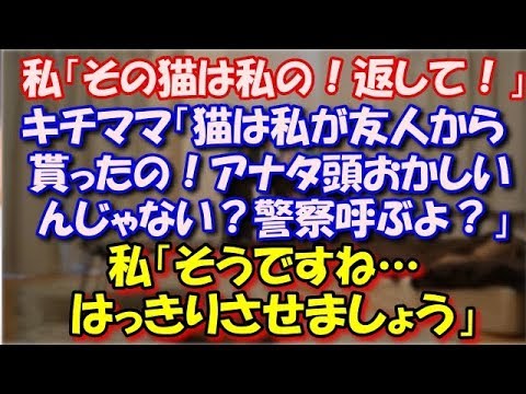 【修羅場】 私「その猫は私の！返して！」キチママ「猫は私が友人から貰ったの！アナタ頭おかしいんじゃない？k察呼ぶよ？」私「そうですね…どっちが正しいかはっきりさせましょう」 スカッと修羅場ラバンダ