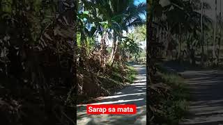 Sarap sa mata ng Probinsya 💚