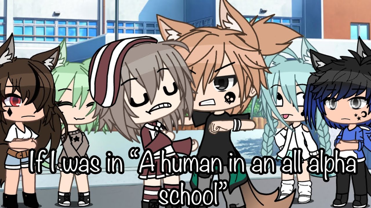 []If I was in “A human in an all Alpha school🐺👹[]