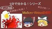 Mallory Weiss Tear Youtube Mallory Weiss Tear Youtube