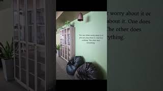 Perspective is everything. 🌿 #ytshorts #explore #viral #motivational #sunday #trendingshorts #fyp