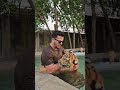 Bengal tiger wants to bite on my hand  nouman hassan 