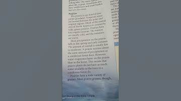 Grasslands:  Prairie