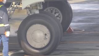 【結構タイヤが小さい!ウィングレットがない】Skymark Airlines  JA737N  Boeing 737-8HX