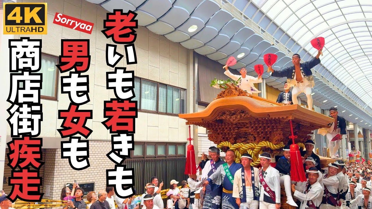 岸和田だんじり祭 商店街パレードで直線を疾走する22台の地車 2025年