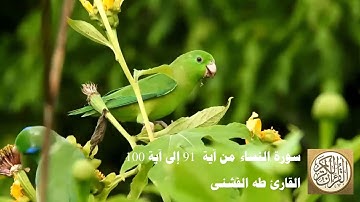 طه الفشني - سورة النّساء من آية ٩١ إلى آية ١٠٠ - سَتَجِدُونَ آخَرِينَ يُرِيدُونَ أَن يَأْمَنُوكُمْ