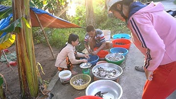 Bán Cá Trên Đường Quê #1 | Nét Quê #42