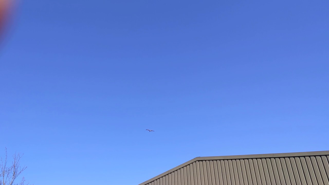 Red Kite High YouTube