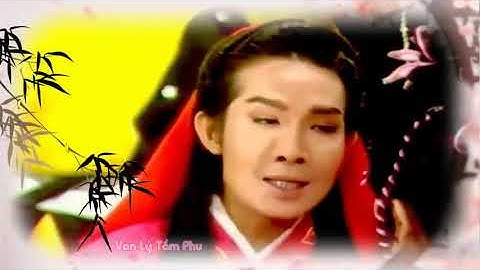 Liên Khúc ĐIỆU HỒ QUẢNG - TRƯỜNG KHÚC VŨ LINH, TÀI LINH, PHƯỢNG MAI, NGỌC HUYỀN