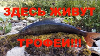 видео: Экспедиция на Северный Урал. Перевал Дятлова. Часть 6: Рыбалка на камеру, баня, единение с природой. картинка: Экспедиция на Северный Урал. Перевал Дятлова. Часть 6: Рыбалка на камеру, баня, единение с природой.