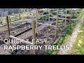 Quick & Easy DIY Raspberry Trellis