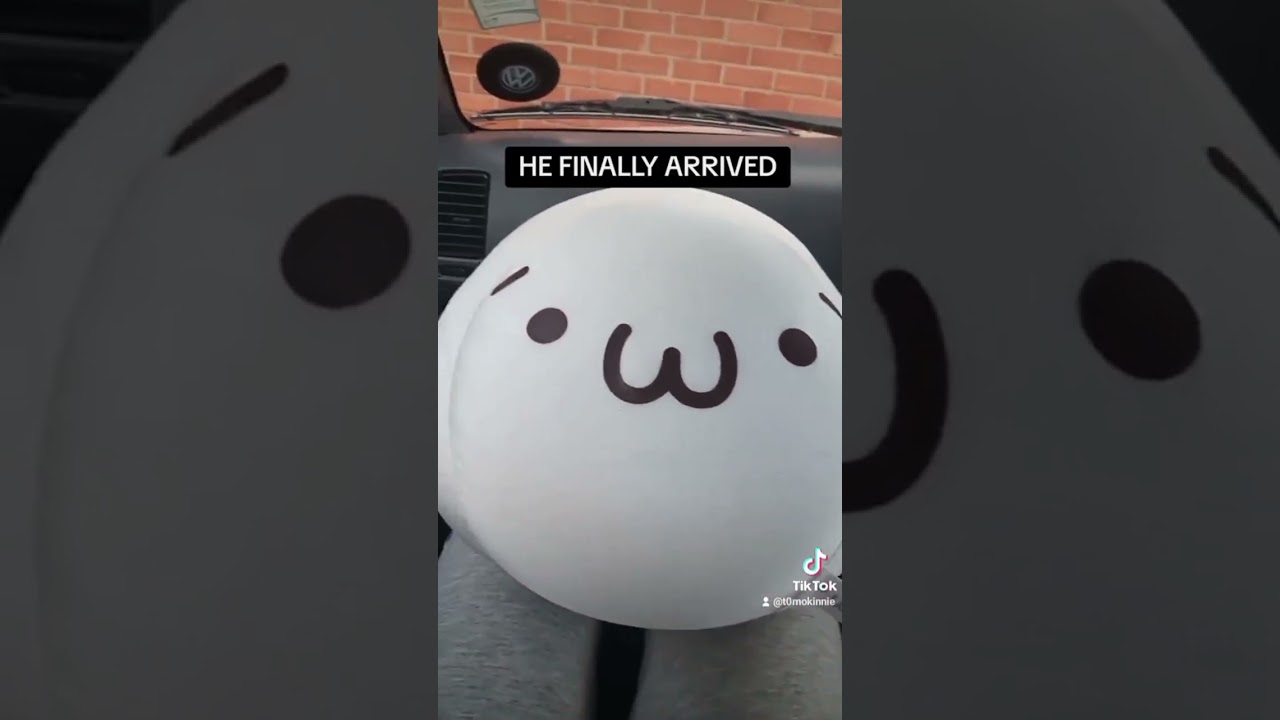 my original kaomoji plushie from 2010 I got off zenmarket !! 