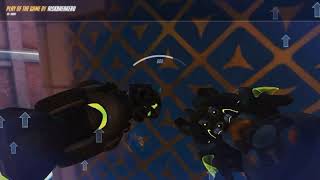 Double Orisa Pull