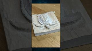 Carving a sea turtle.  Not finished yet but here’s a little preview